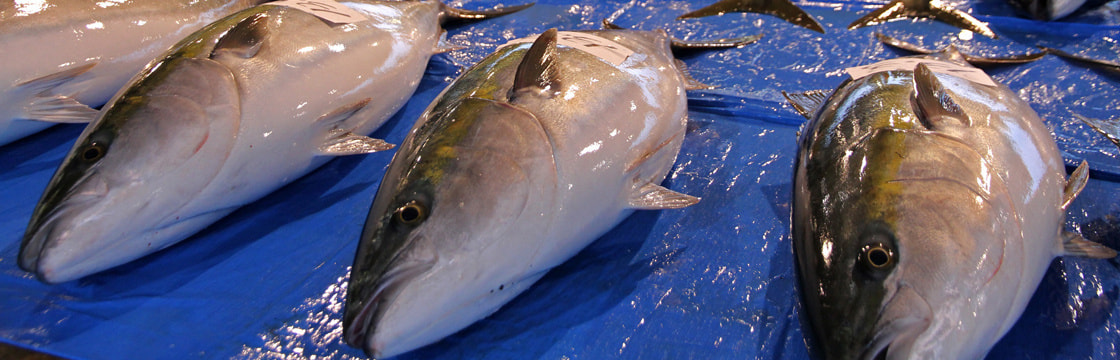 富山県高岡市で