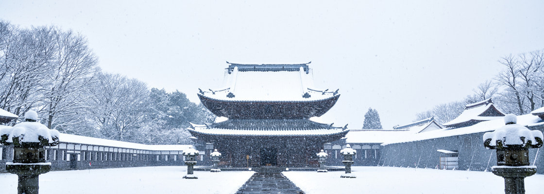 生まれた人　暮らす人