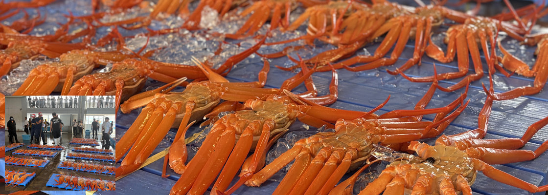 高岡の今を綴ります