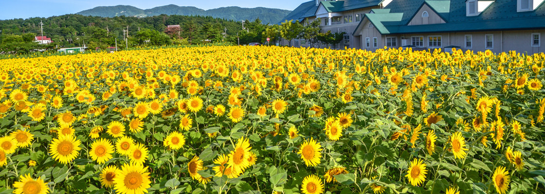 富山県高岡市で